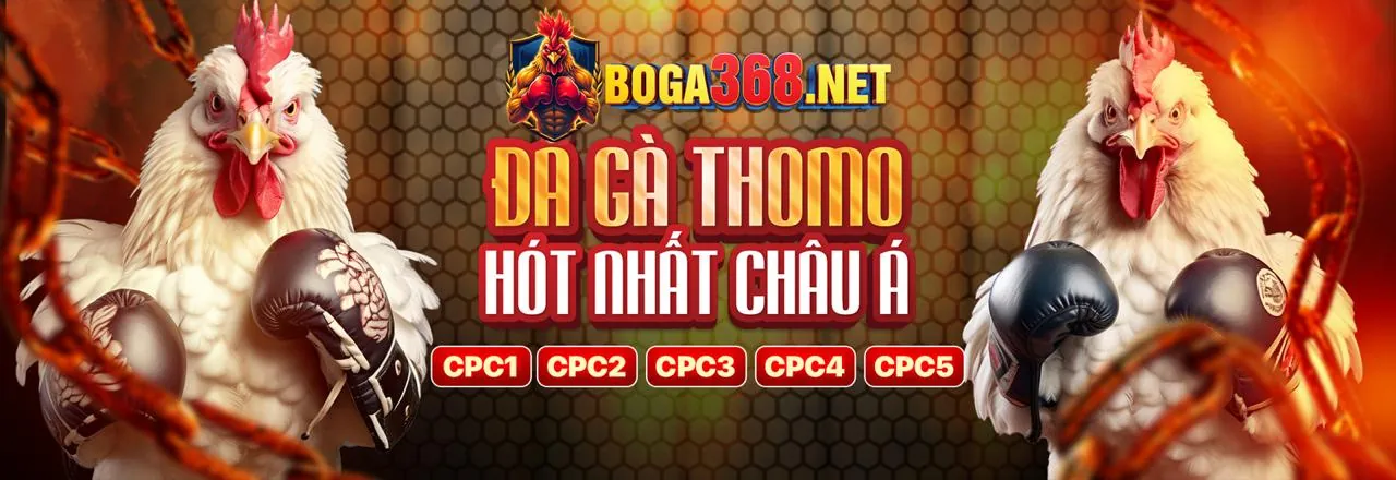 Người chia bài trực tiếp tại nowgoal. ltd